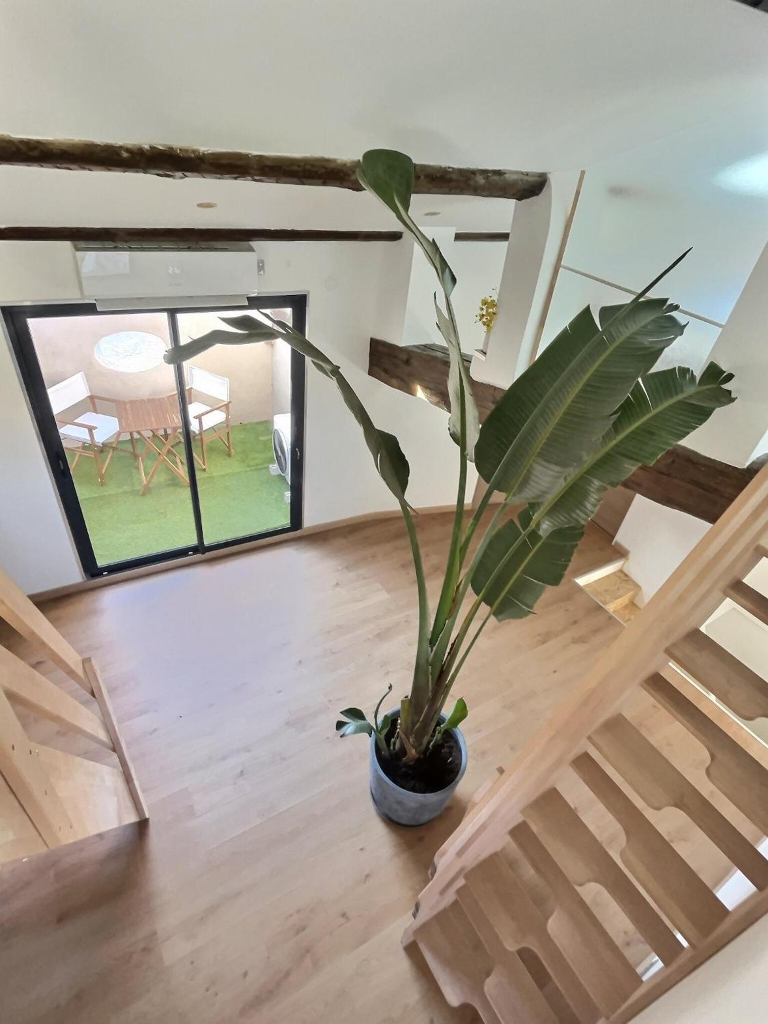 Ferienwohnung Jungle Loft Beziers Centre Exterior foto